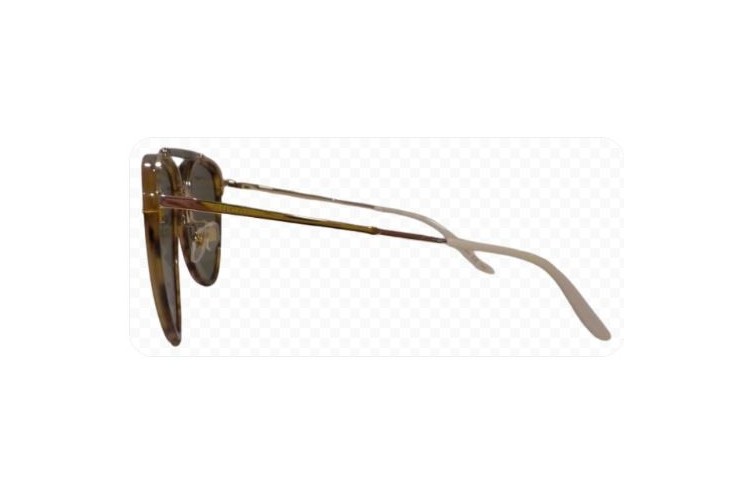 GUCCI GG 0672S 003