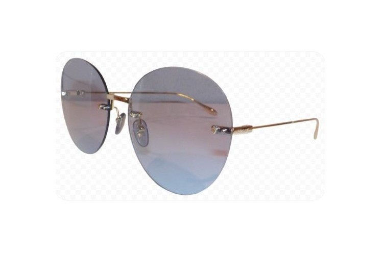 GUCCI GG1149S 006