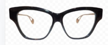 GUCCI GG0438O 001